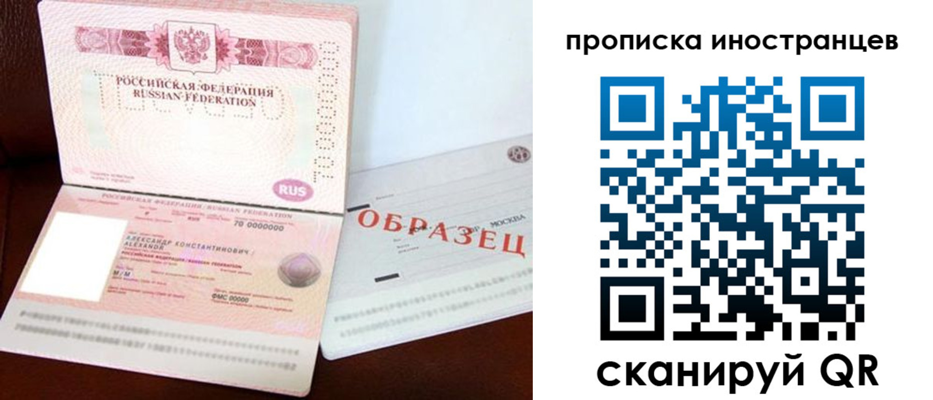 прописка поиск в Мурино